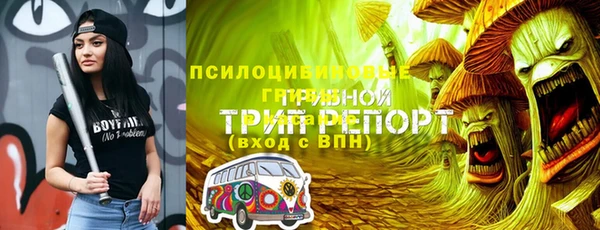 гидра Алексеевка